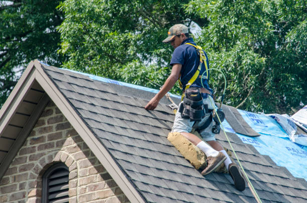 Professional Roofing Contractor in St Robert, MO